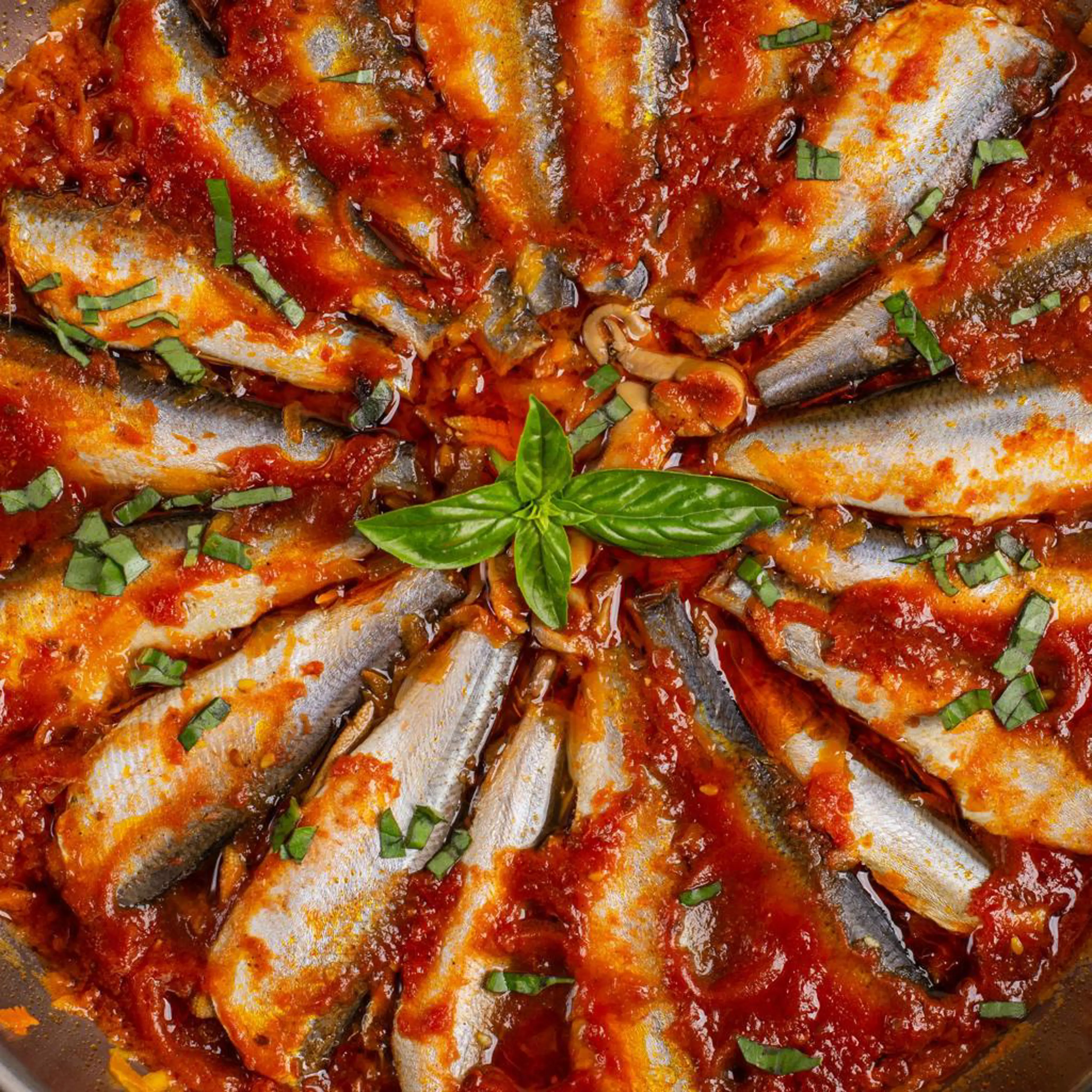 멸치 바뇬