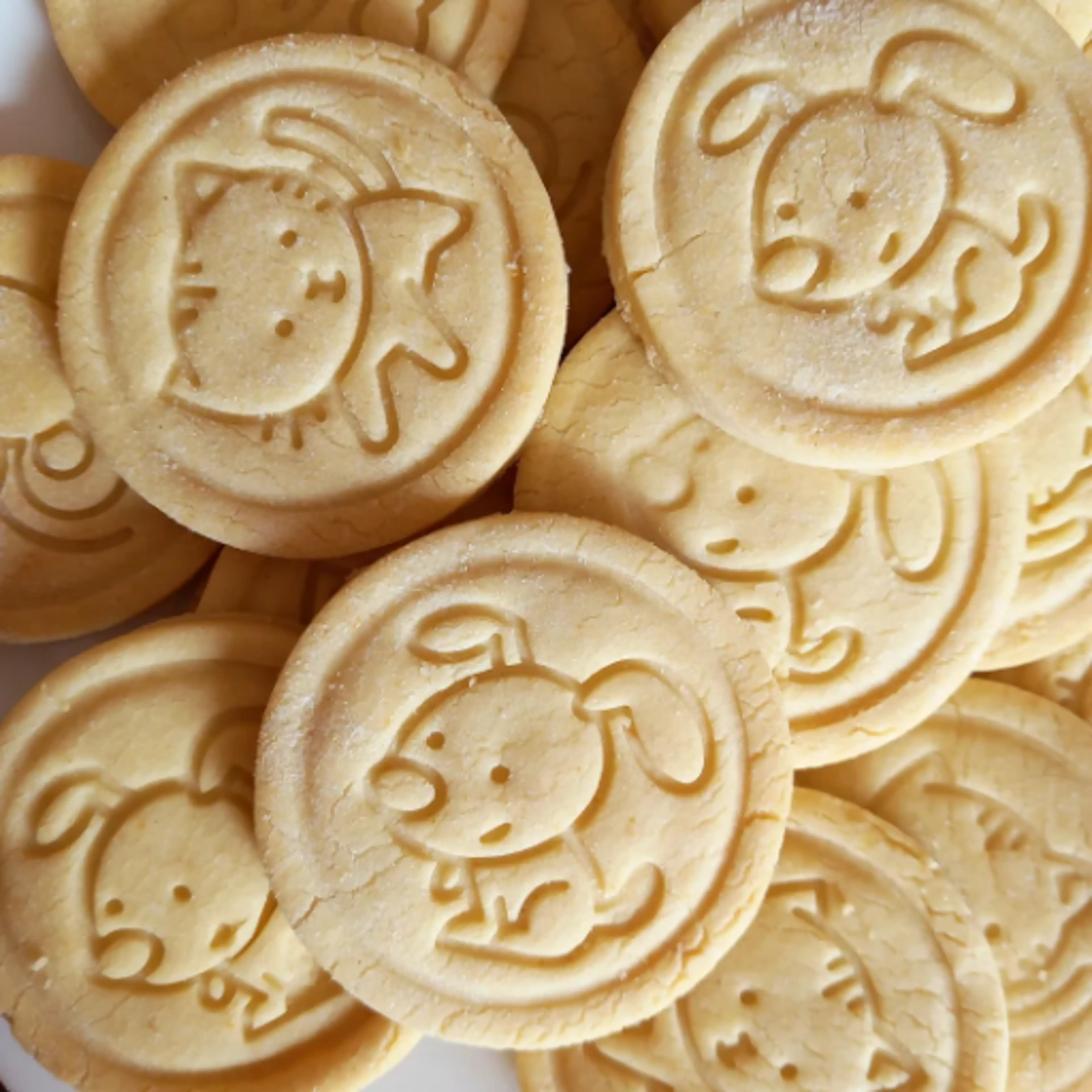 BISCUITS ANIMAUX sans gluten et sans lactose