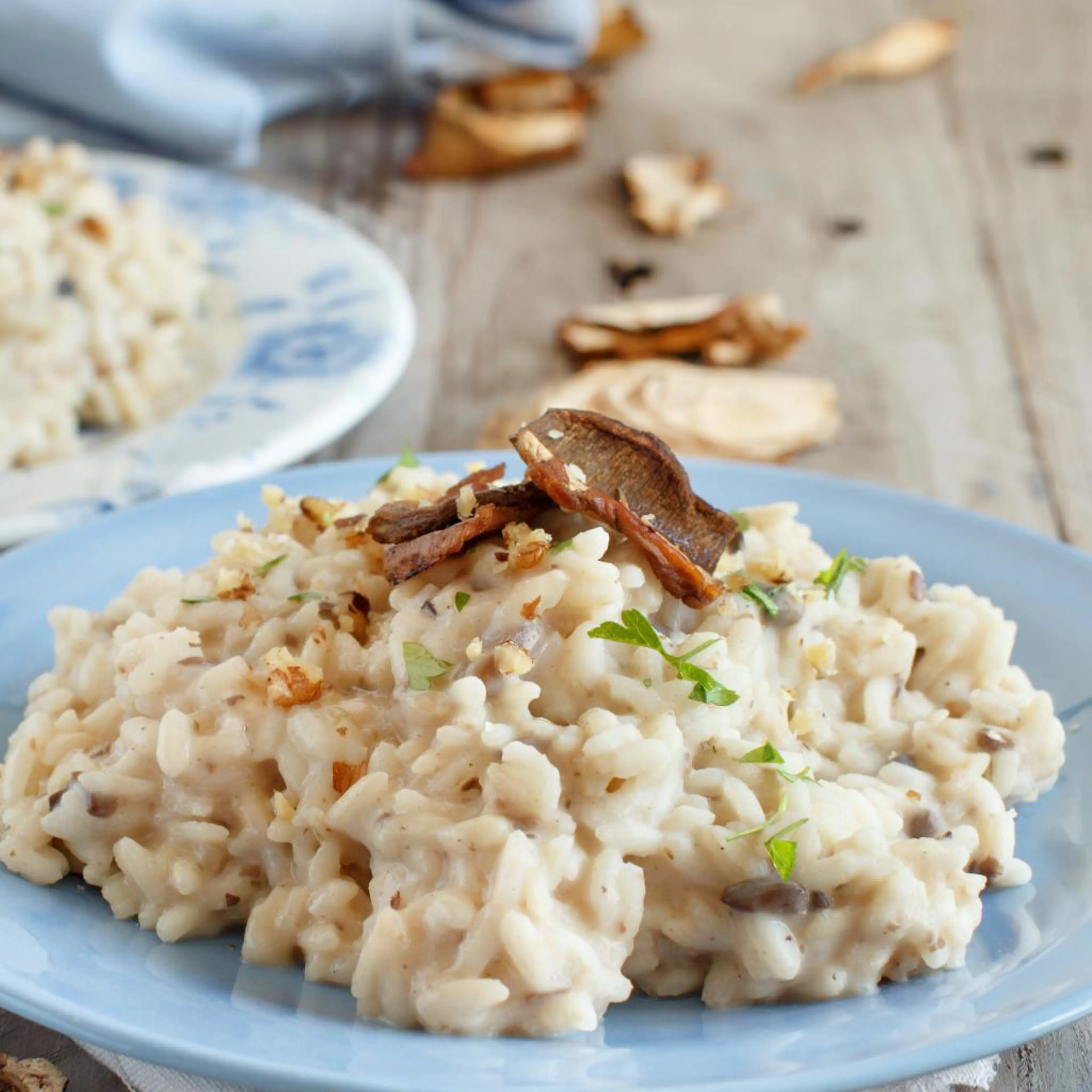 Risotto med kräm av karljohansvamp