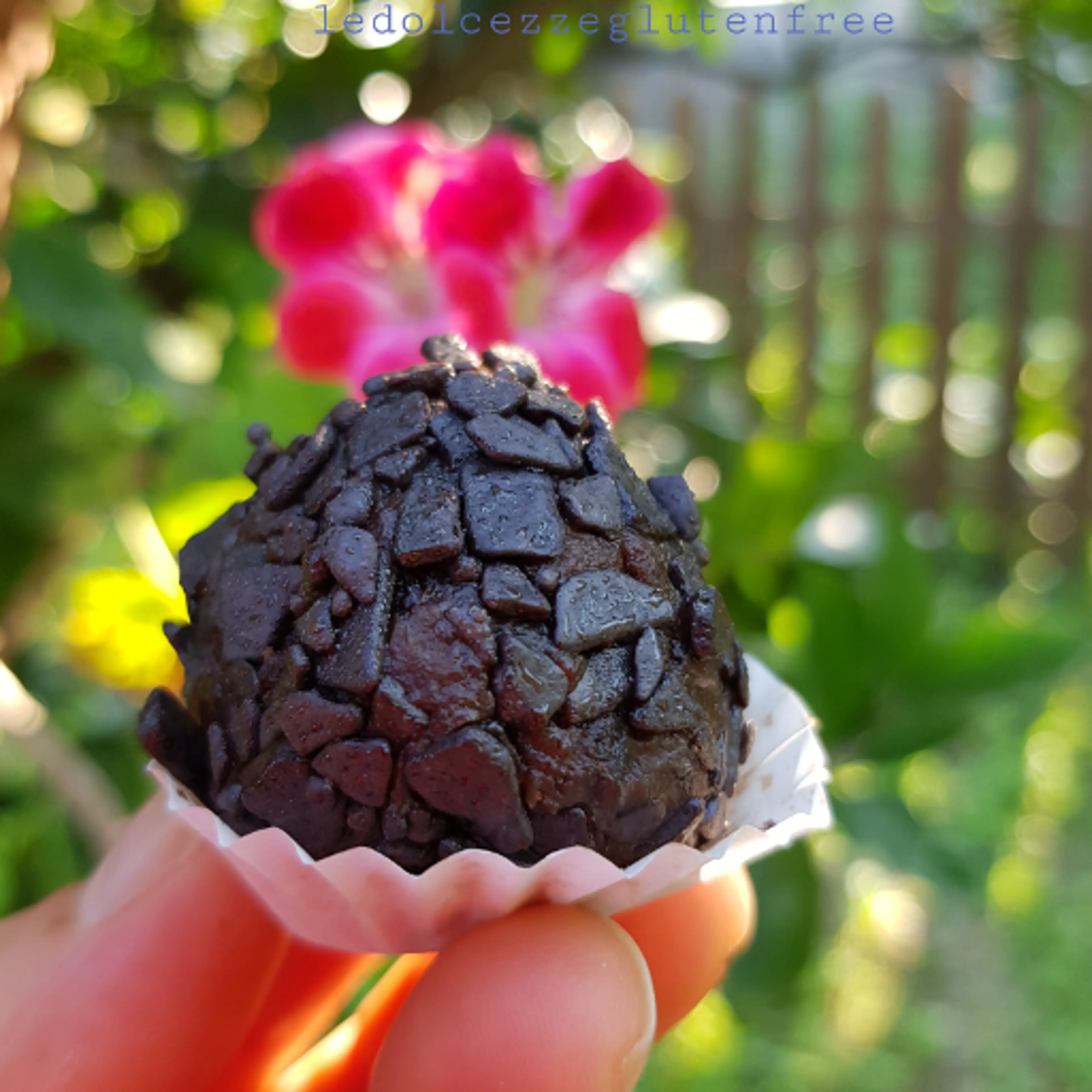 Chocolate truffles with apricot and strawberry jam.