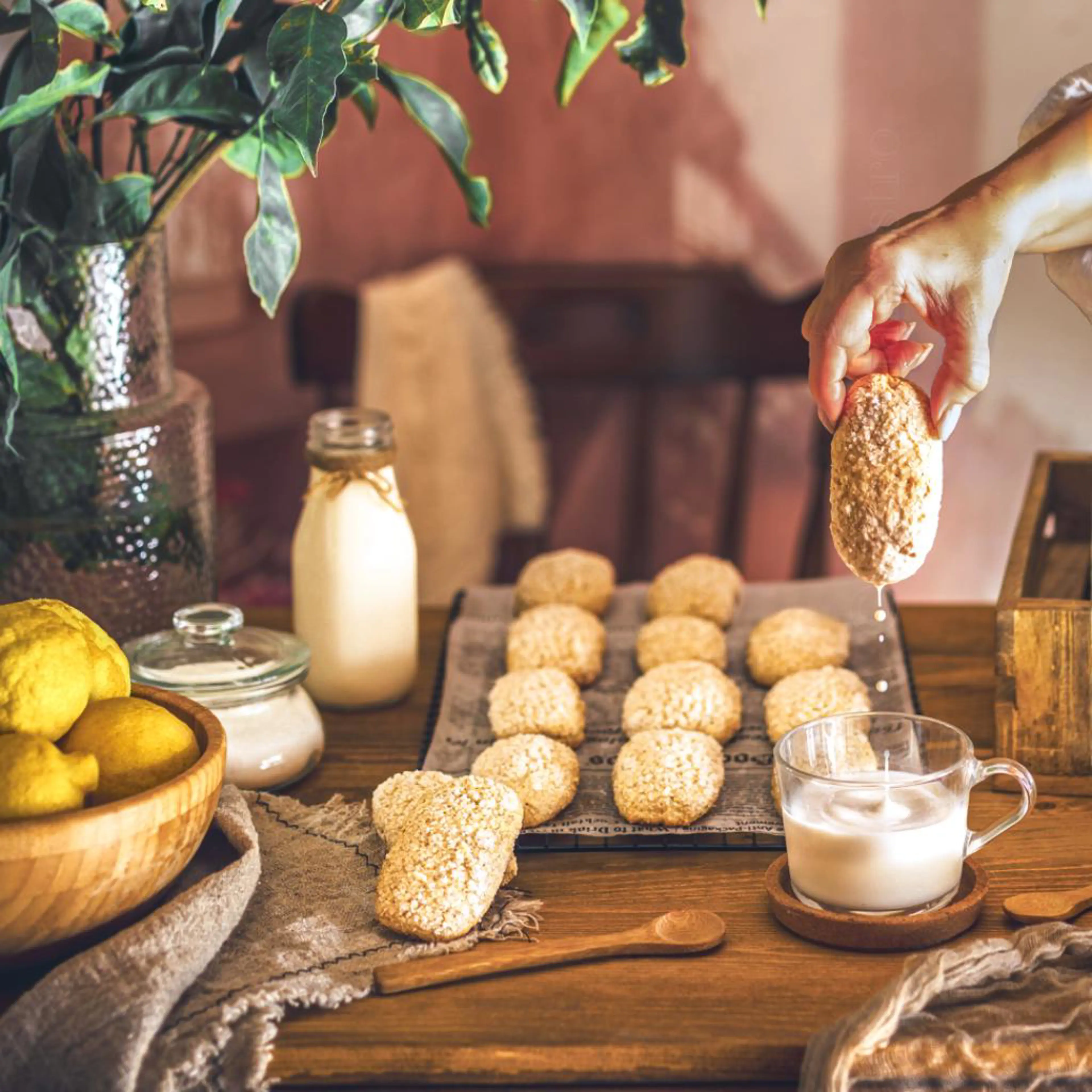 Whole Wheat Cookies for Dunking