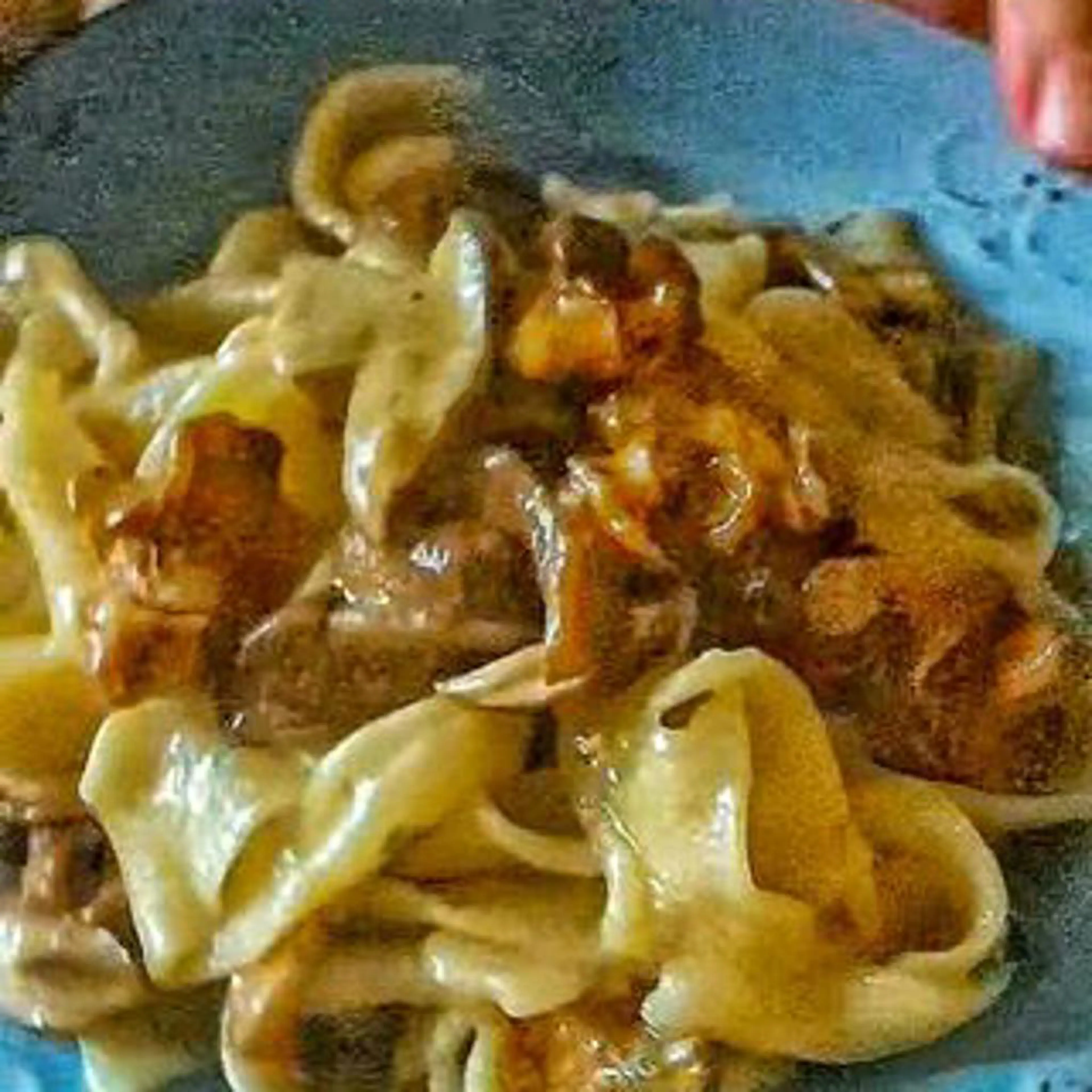 Beer pappardelle with beer mushroom ragù