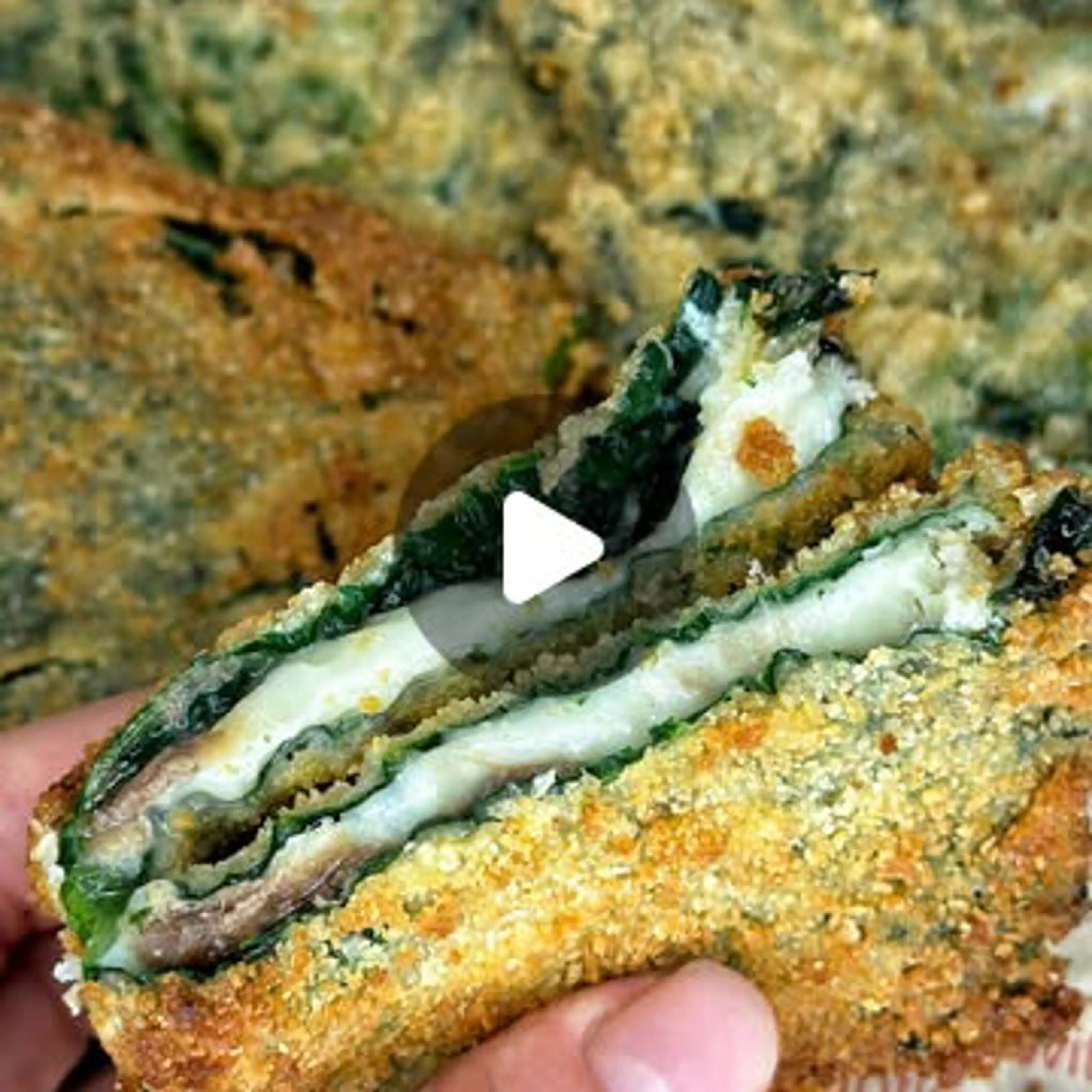 Savoy cabbage in carrozza