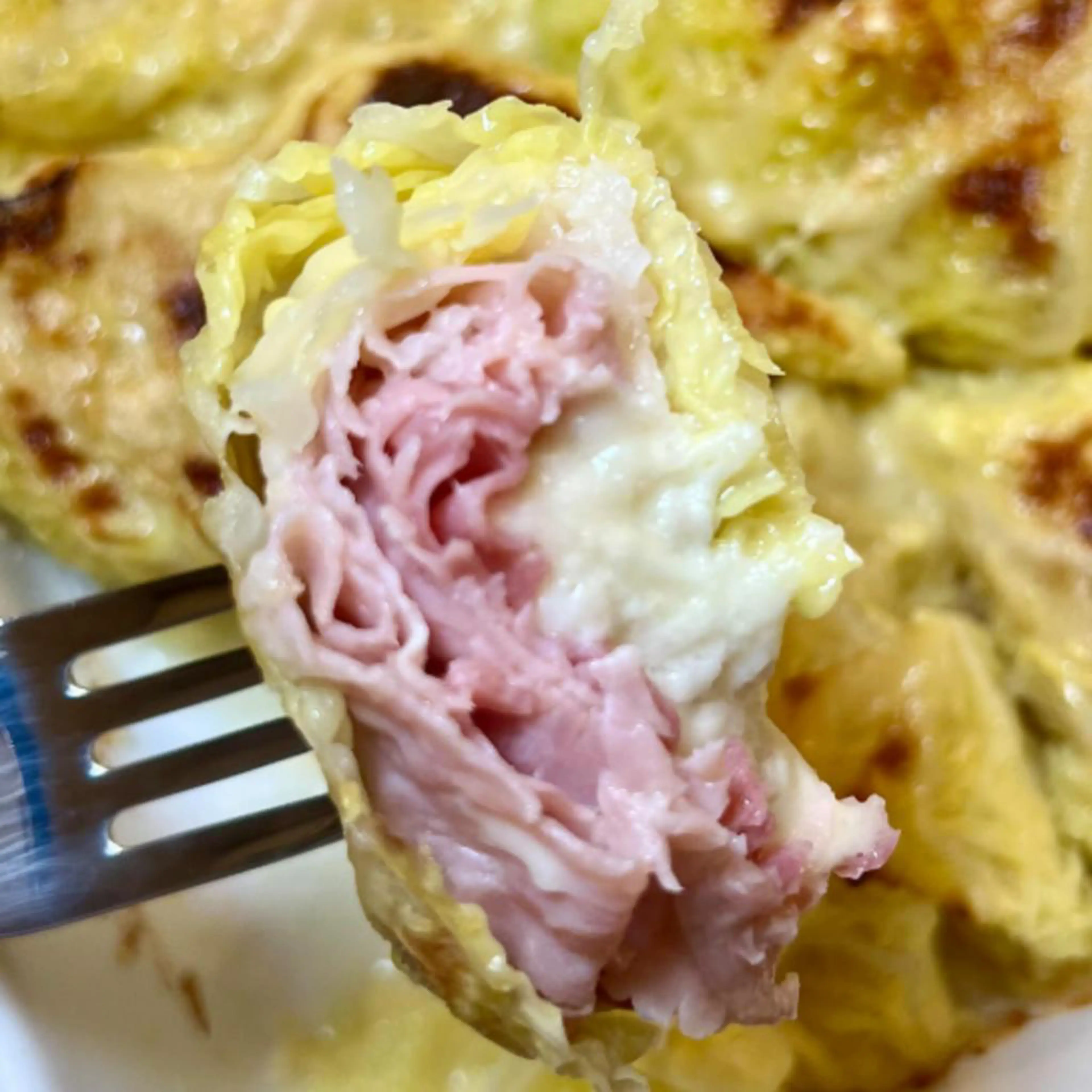 Savoy cabbage rolls stuffed with buffalo mozzarella and cooked ham