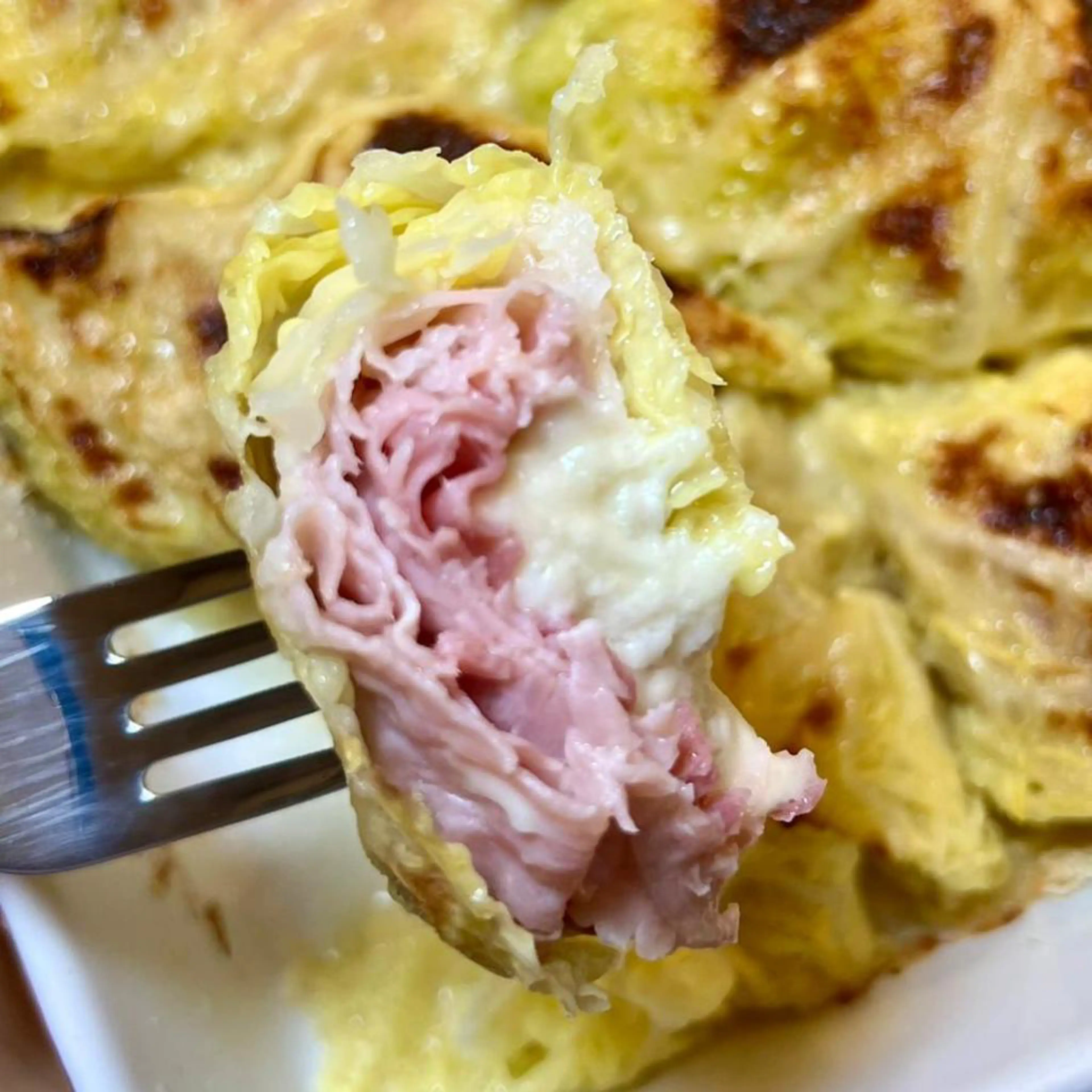 Savoy Cabbage Rolls