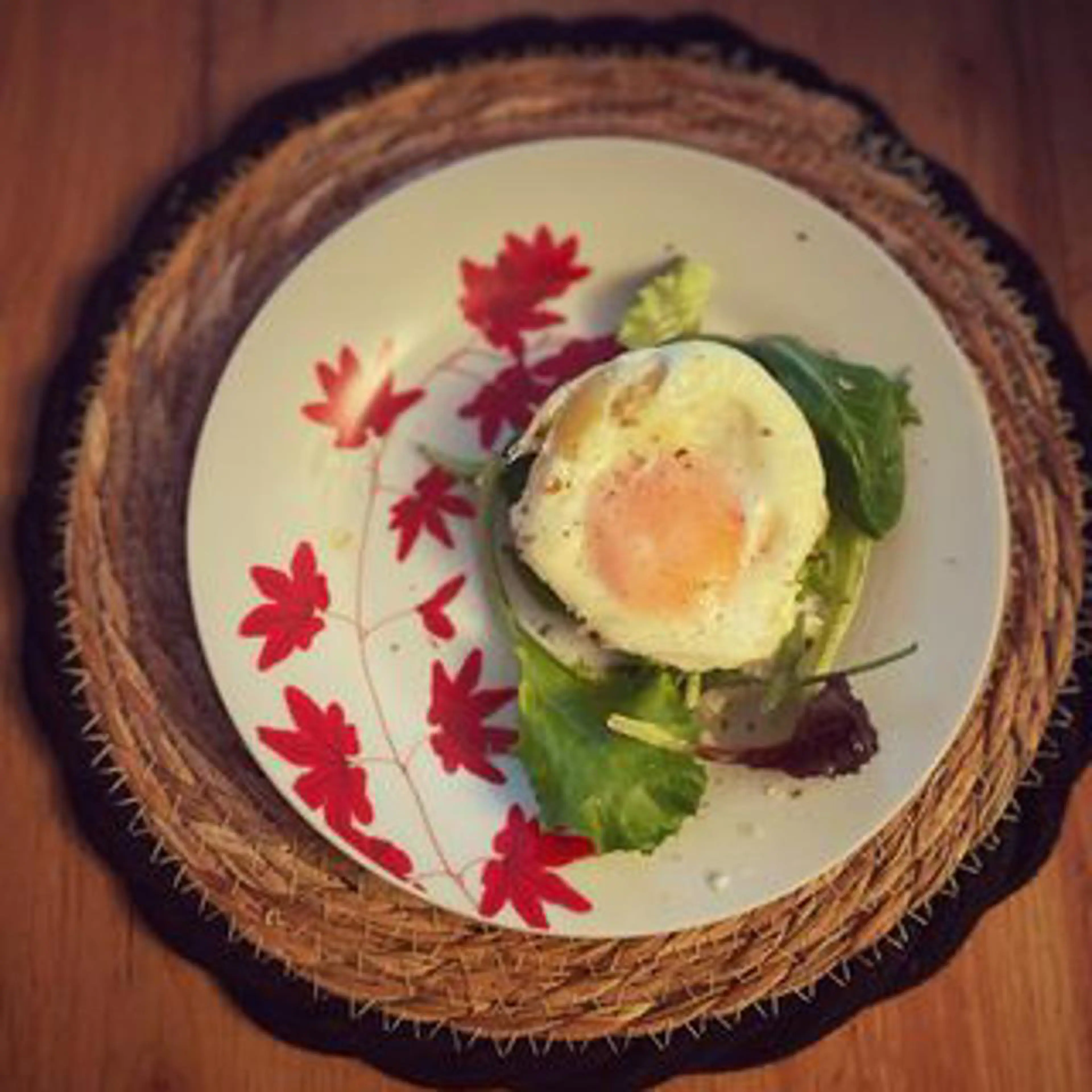 Egg nest cup